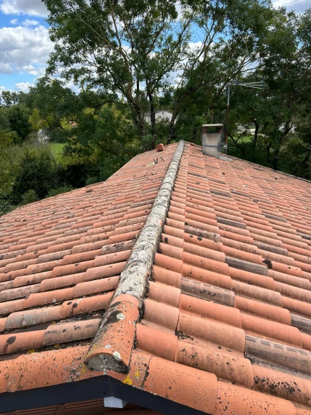 Image de couverture de l'album Démoussage de toiture