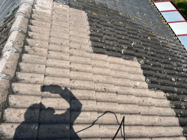 Image de couverture de l'album Nettoyage d'une toiture à Albi