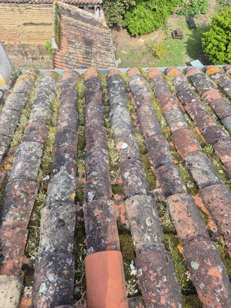 Image de couverture de l'album Démousage à Castelsarrasin